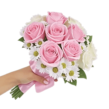 Pink Pastel Roses