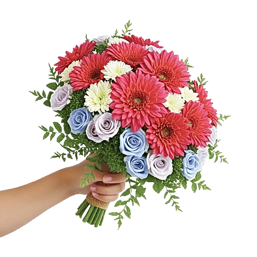 Coral Blossom Harmony