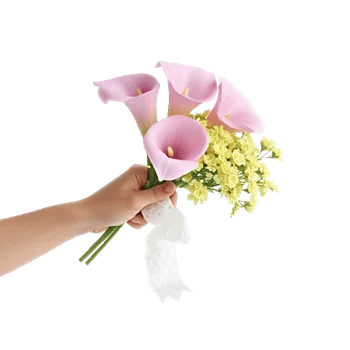 Elegant Calla Lilies