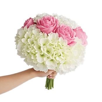 Ivory Blossom Radiance