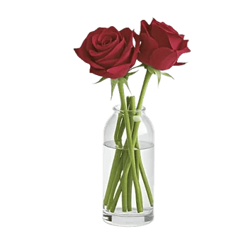 Crimson Rose Elegance