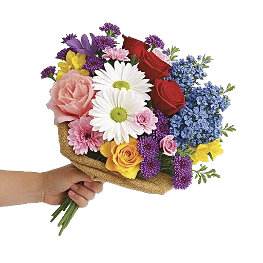 Blossom Harmony Display