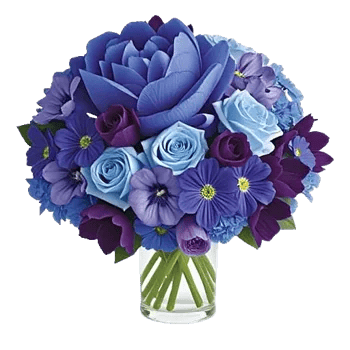 Petal Radiance Bliss