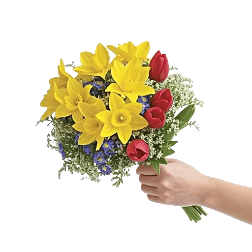 Blossom Harmony Display