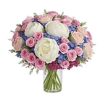 Ivory Blossom Radiance