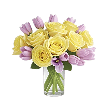 Ivory Blossom Radiance