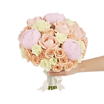 Peony Petal Harmony