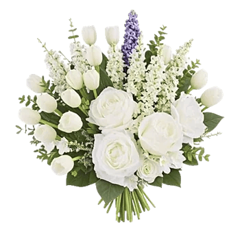 Ivory Blossom Radiance