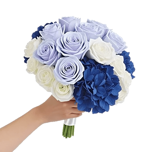 Serene Petal Harmony