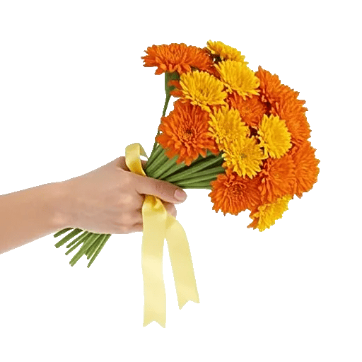 Vibrant Orange Delight