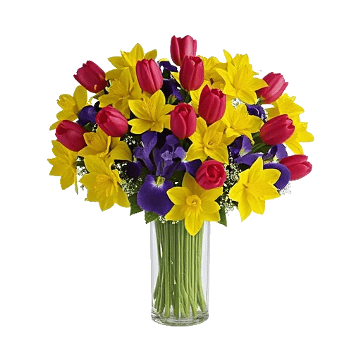 Velvet Tulip Display