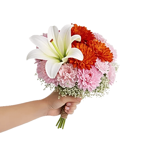 Blossom Harmony Display