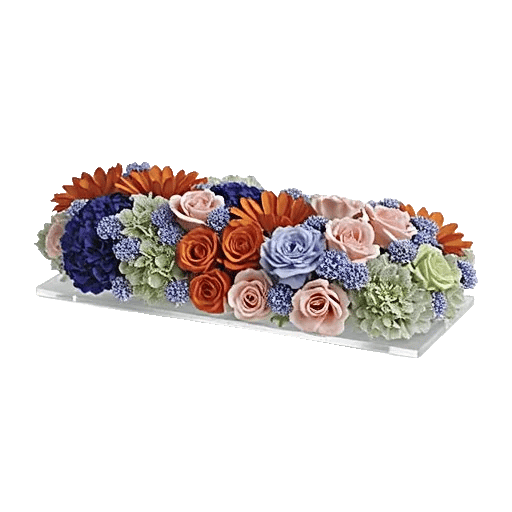 Sapphire Bloom Whisper