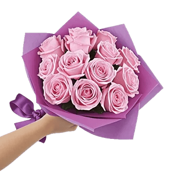 Pastel Pink Roses