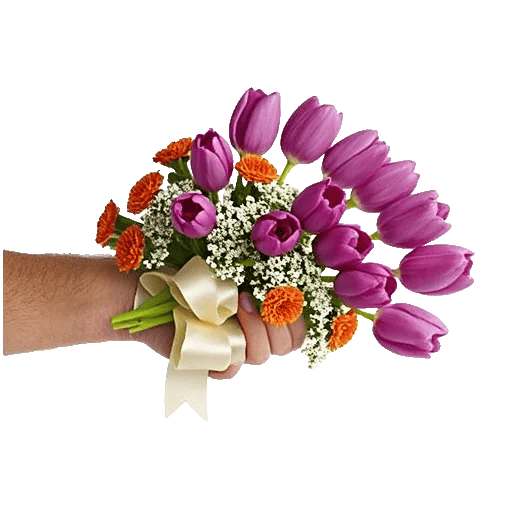 Velvet Tulip Display