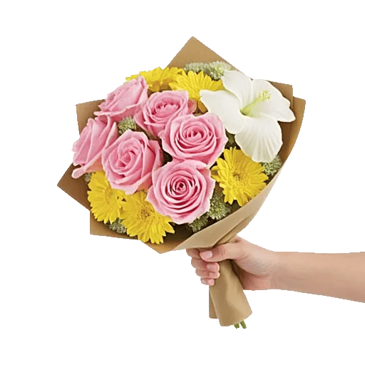 Blushing Rose Symphony