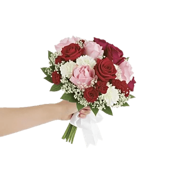 Crimson Rose Elegance