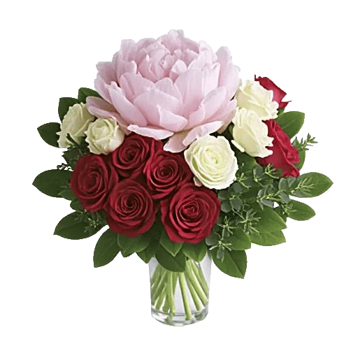 Petal Radiance Bliss