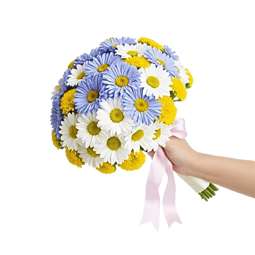 Delicate Petal Cascade