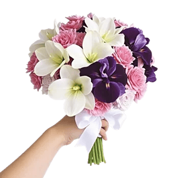 Serenity Orchid Bloom