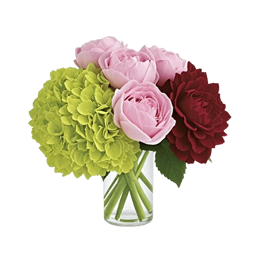 Petal Radiance Bliss