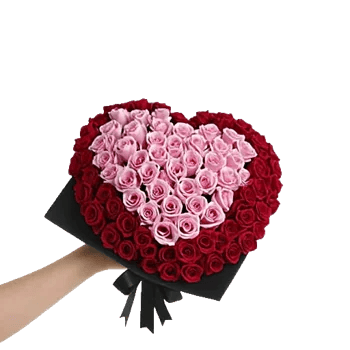 Blushing Rose Symphony
