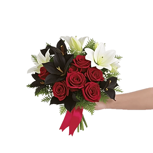 Crimson Rose Elegance