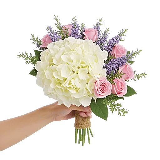 Serene Petal Harmony
