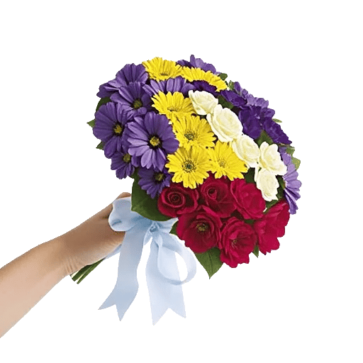 Blossom Petal Serenity