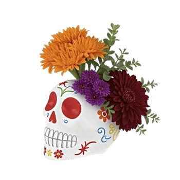 Modern White Orchids