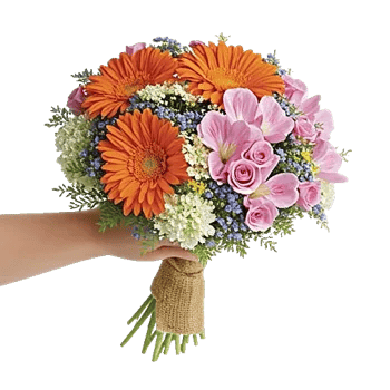 Petal Harmony Bliss