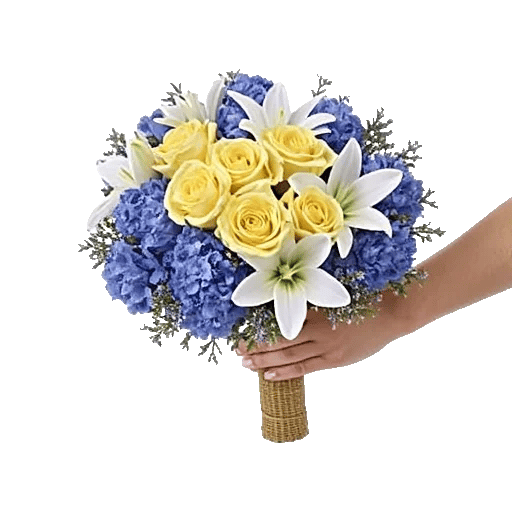 Blossom Harmony Display