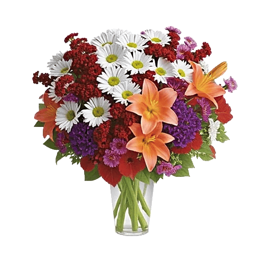 Petal Radiance Bliss