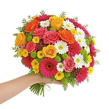 Petal Harmony Bliss