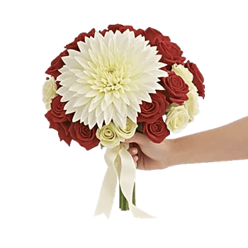 Ivory Garden Grace