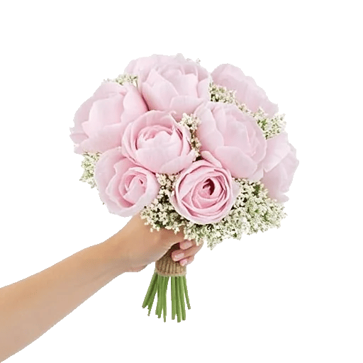 Peony Petal Harmony