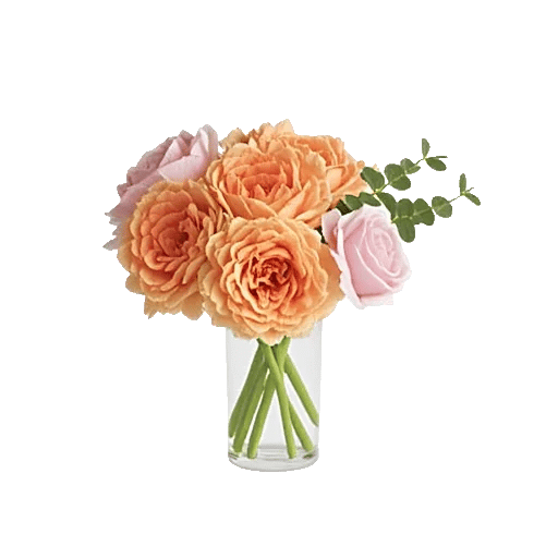 Petal Radiance Bliss