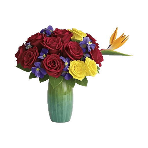Radiant Rose Symphony