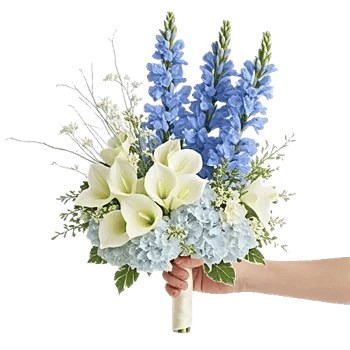 Elegant Calla Lilies