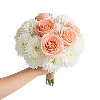 Blushing Rose Symphony