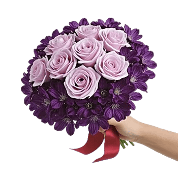 Blushing Rose Symphony