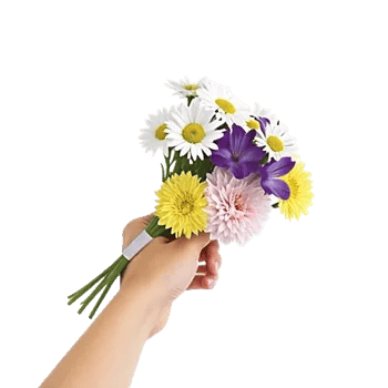 Blossom Harmony Display