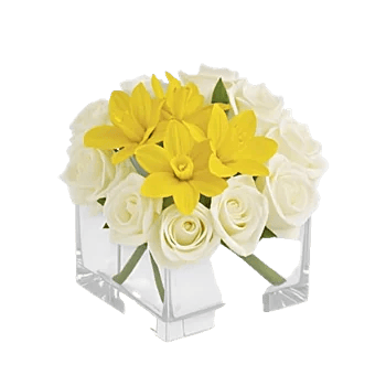 Ivory Blossom Radiance