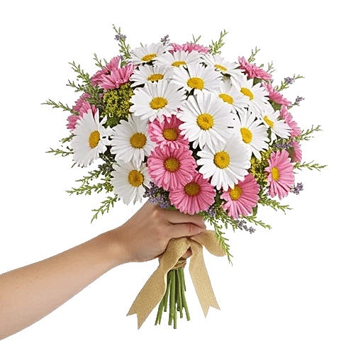 Coral Blossom Harmony