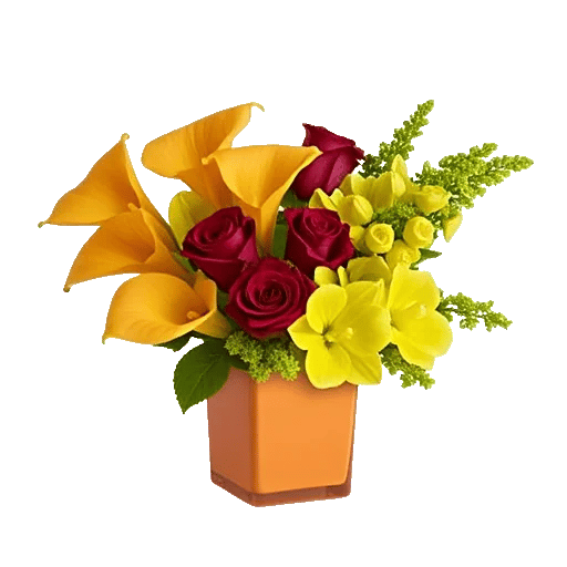 Elegant Calla Lilies