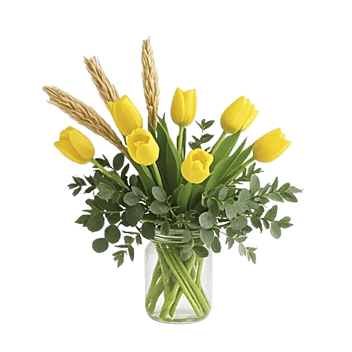 Velvet Tulip Display