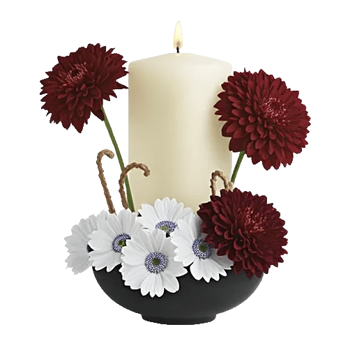 Ivory Blossom Radiance