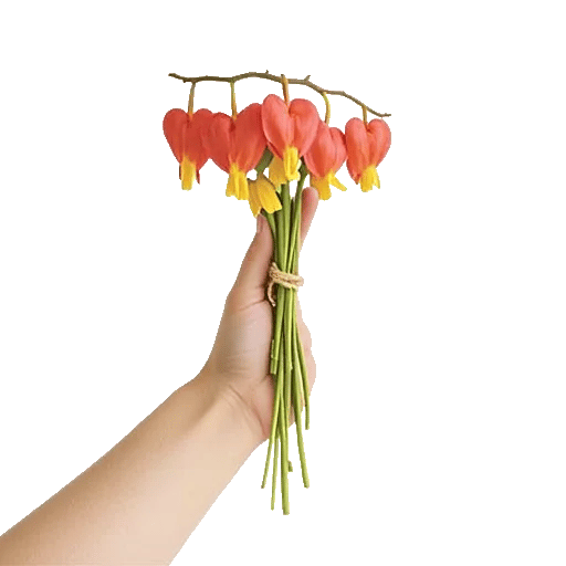 Blushing Rose Symphony