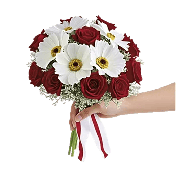 Delicate Petal Cascade