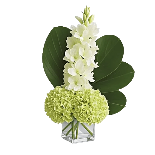 Lush Greenery Harmony